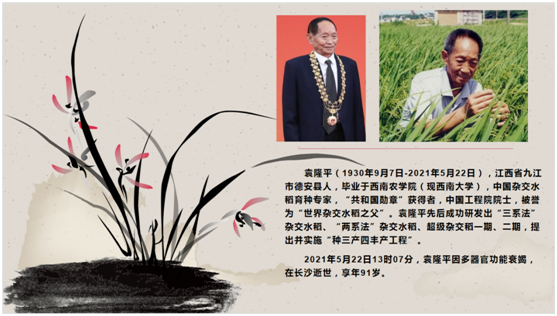 ug环球指定入口图片