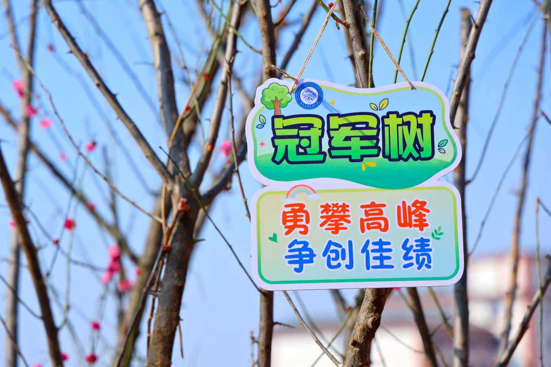 ug环球平台图片
